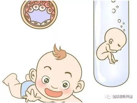胚胎操作